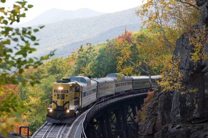 a train traveling down train tracks near a forest